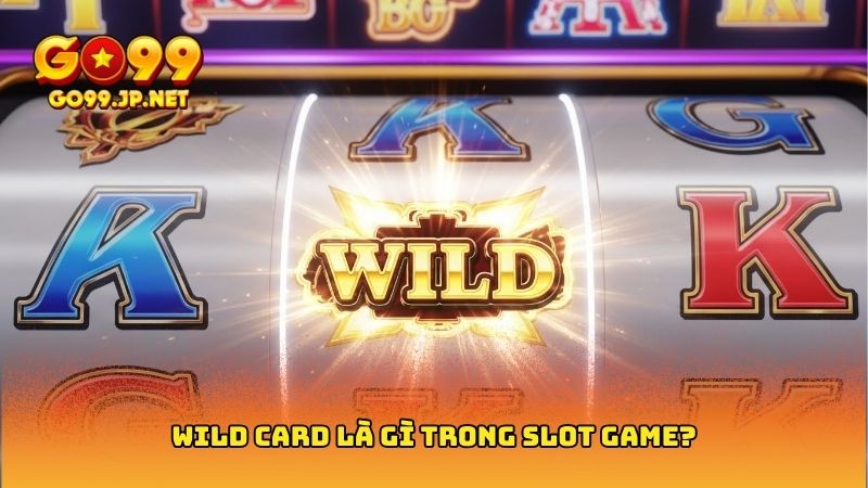 Wild Card là gì? Tìm hiểu chi tiết về tính năng này